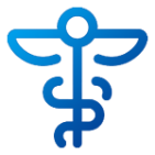 Healthcare Icon